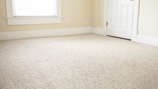 carpeting-in-condo.jpg