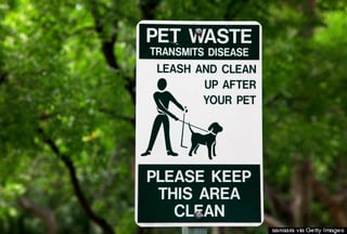 condo-renters-not-picking-up-poop.jpg
