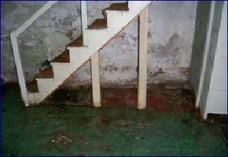 mold-basement