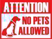 no-pets-allowed
