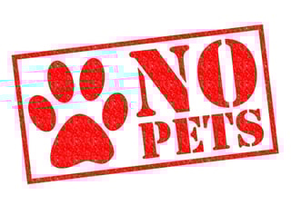 no-pets-in-condo.jpg