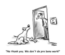 no-pro-bono-work