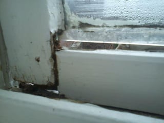 windows-falling-apart.jpg