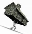 hoa loan