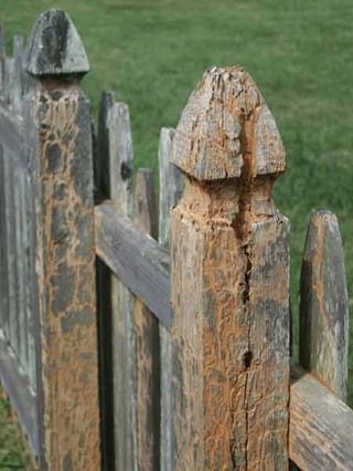 condo-fence-with-termite-damage.jpg