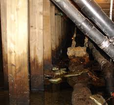 flooded-townhome-crawl-space.jpeg
