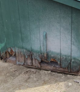 rotten-condo-shed.jpg